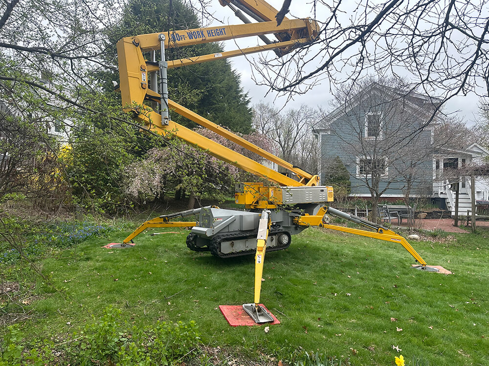 Tracked Lift being used to remove a storm damaged tree in
Florence